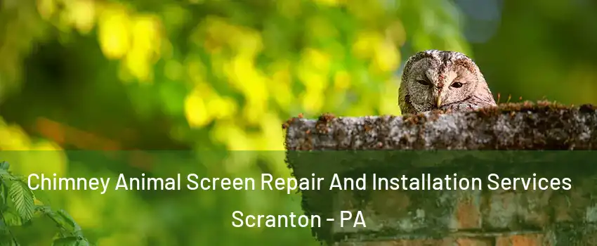  Chimney Animal Screen Repair And Installation Services Scranton - PA