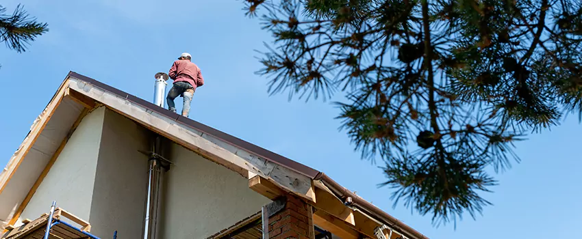 Birds Removal Contractors from Chimney in Scranton, PA