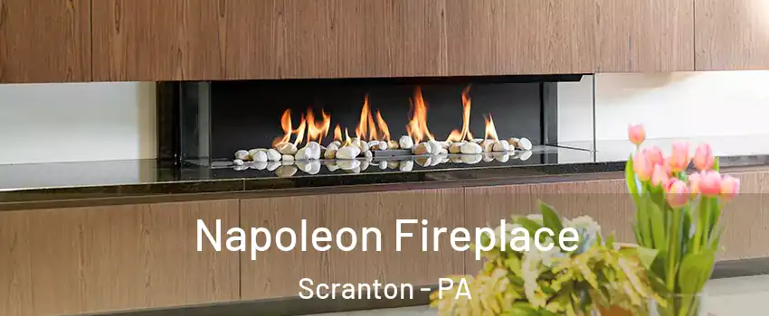  Napoleon Fireplace Scranton - PA